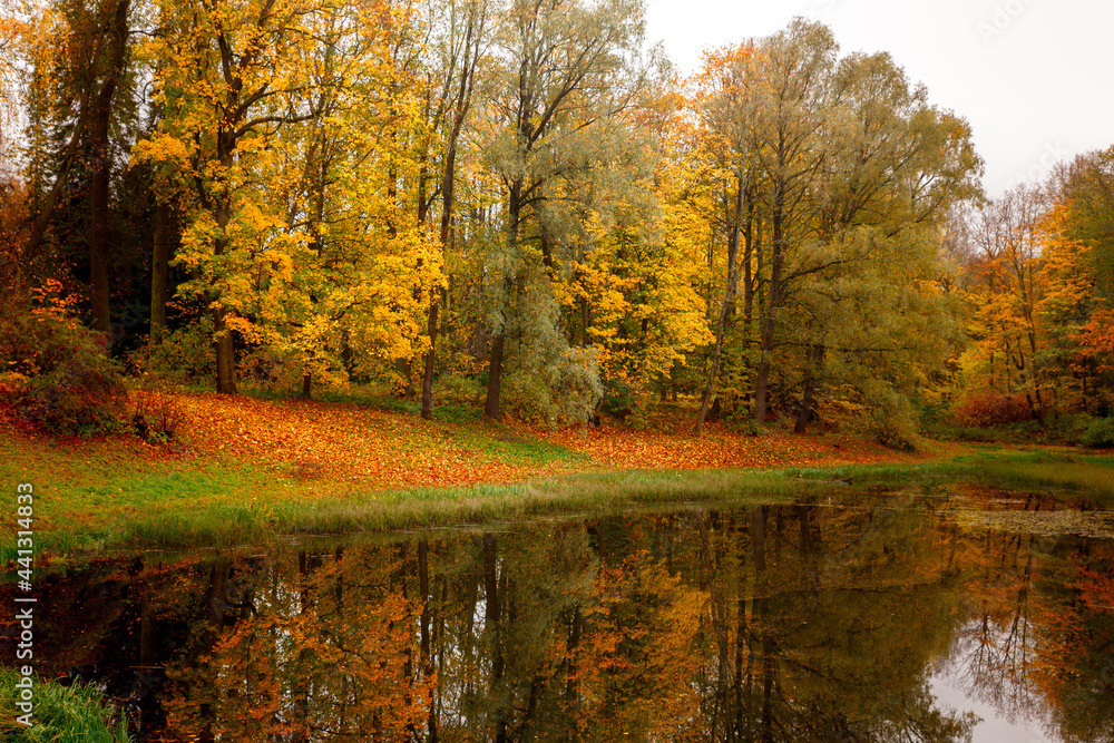 Pond in the park with colorful trees around