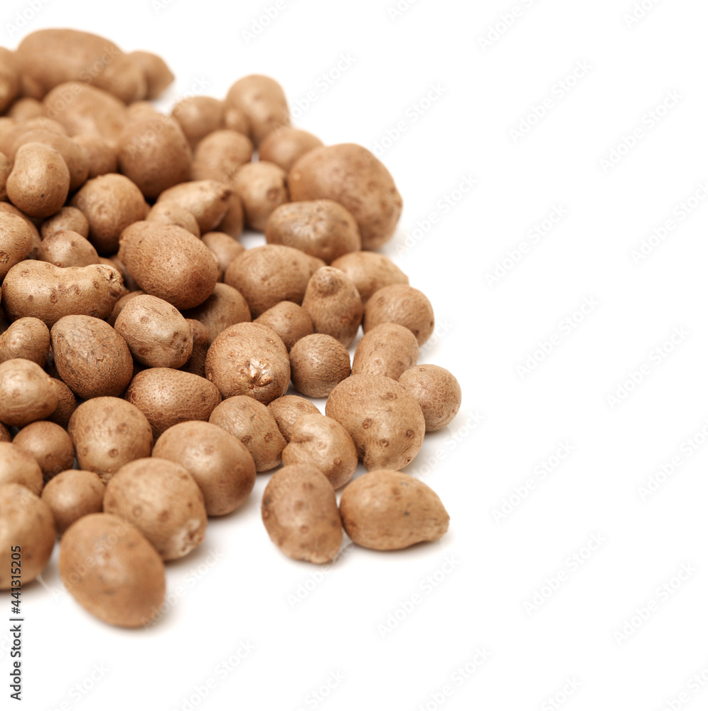 Dioscorea opposita on white background Dioscorea opposita on white background