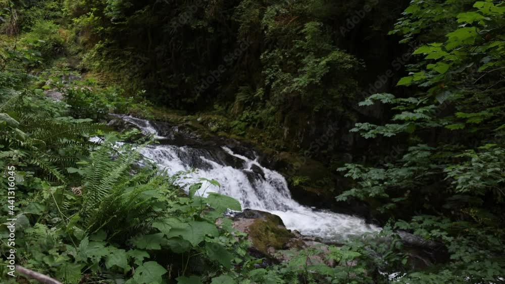 Waterfall in Sweet Creek deep in the wilderness in Oregon looking through lush forest. Waterfall in Sweet Creek deep in the wilderness in Oregon looking through lush forest.