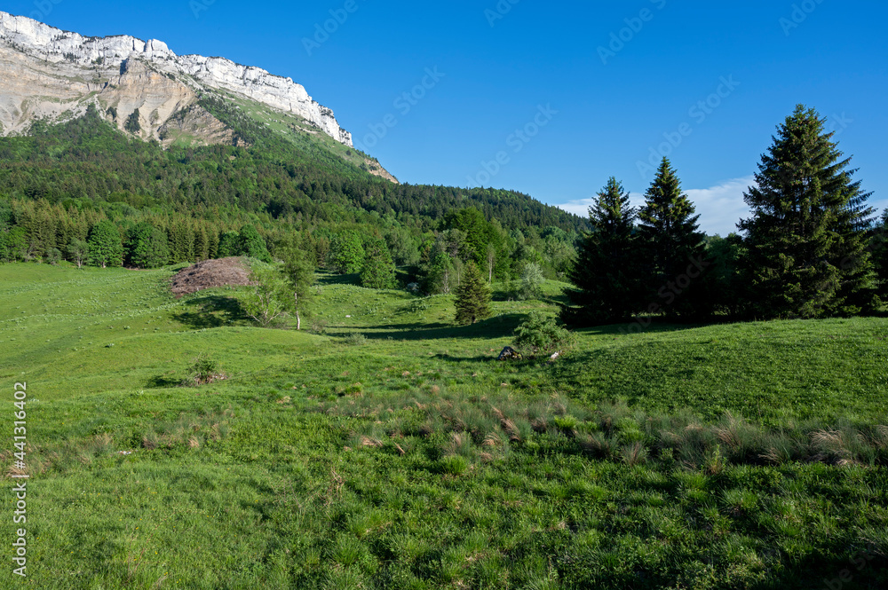 Paysages du Parc Naturel Régional des Bauges autour du col de Plainpalais en savoie dans les Alpes en france