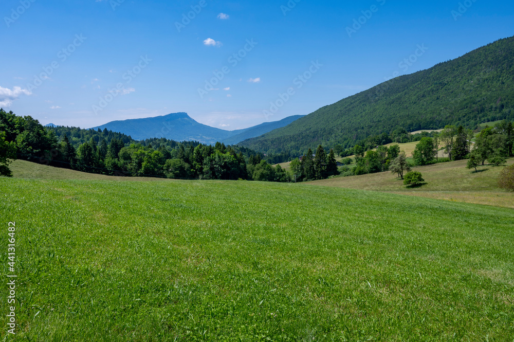 Fototapeta premium Paysage de montagne dans le massif des Bauges en Haute-Savoie dans les Alpes en France au printemps