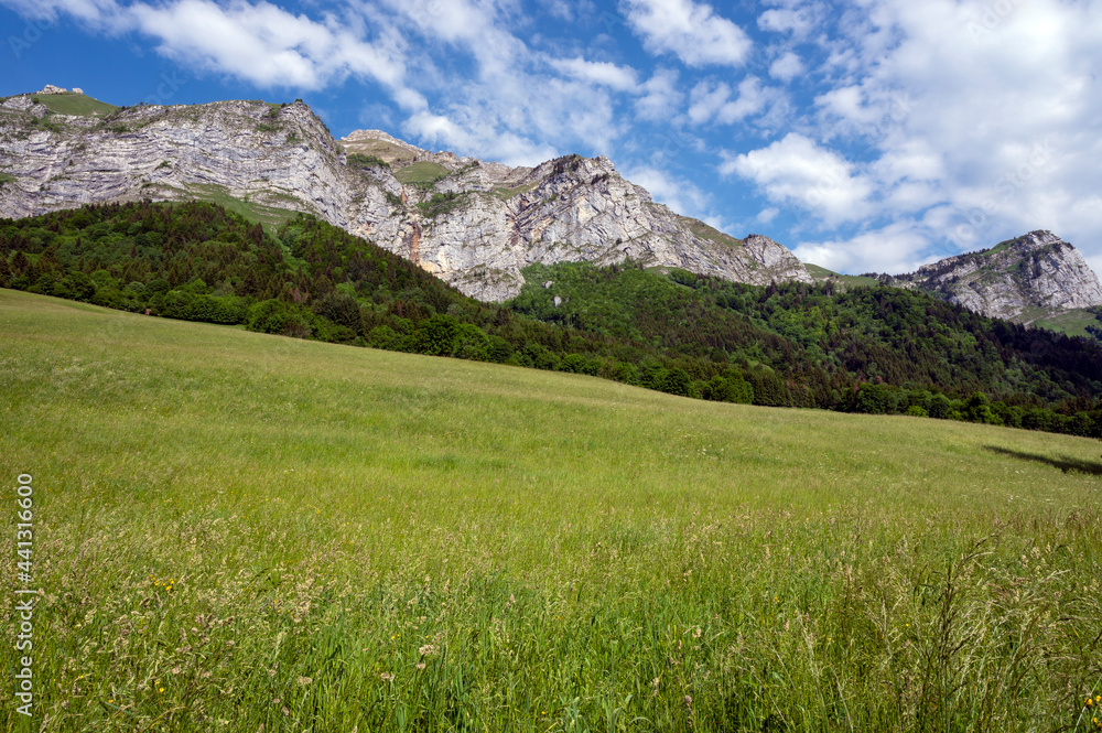 Fototapeta premium Paysage autour du village de La Compôte dans le massif des Bauges en Savoie dans les Alpes en france