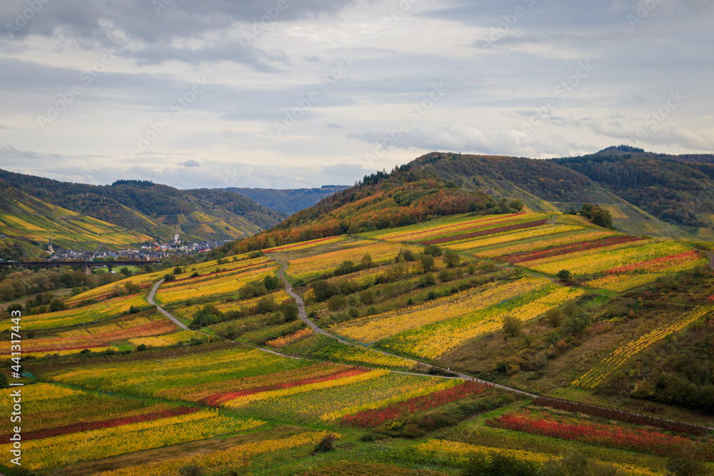 Die Weinberge an der Mosel