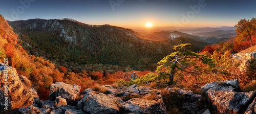 Fototapeta Naklejka Na Ścianę i Meble -  Autumn rural forest landscape at sunset