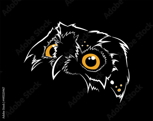 Fototapeta Naklejka Na Ścianę i Meble -  Vector Owl Head with white and orange spots sketch line art illustration isolated on black. Surprised owl with wide open eyes