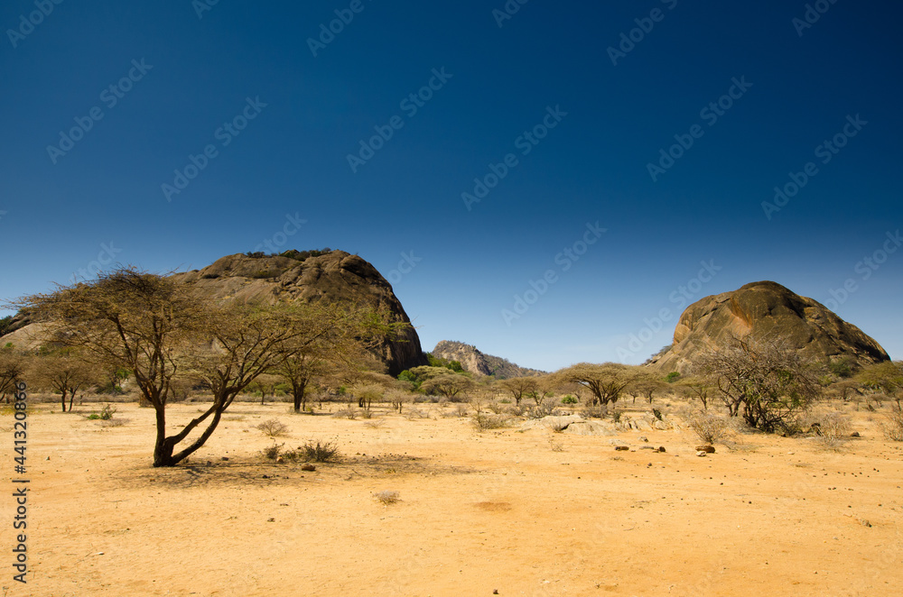 Steppenlandschaft in Nordkenia