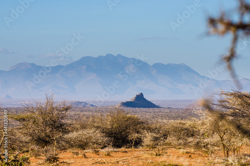 Samburu Landscape  Kenya