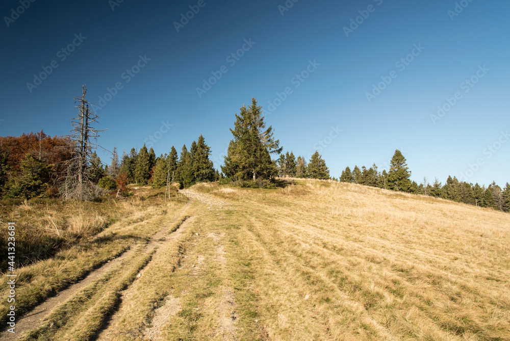 Fototapeta premium Hala na Malej Raczy in autumn Beskid Zywiecki mountains on polish - slovakian borders