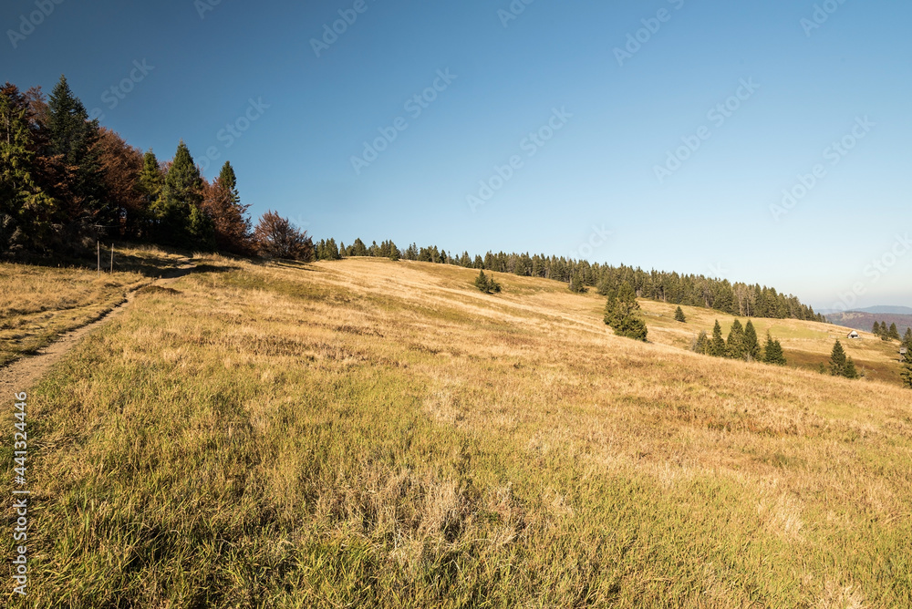 Hala na Malej Raczy in autumn Beskid Zywiecki mountains on polish - slovakian borders