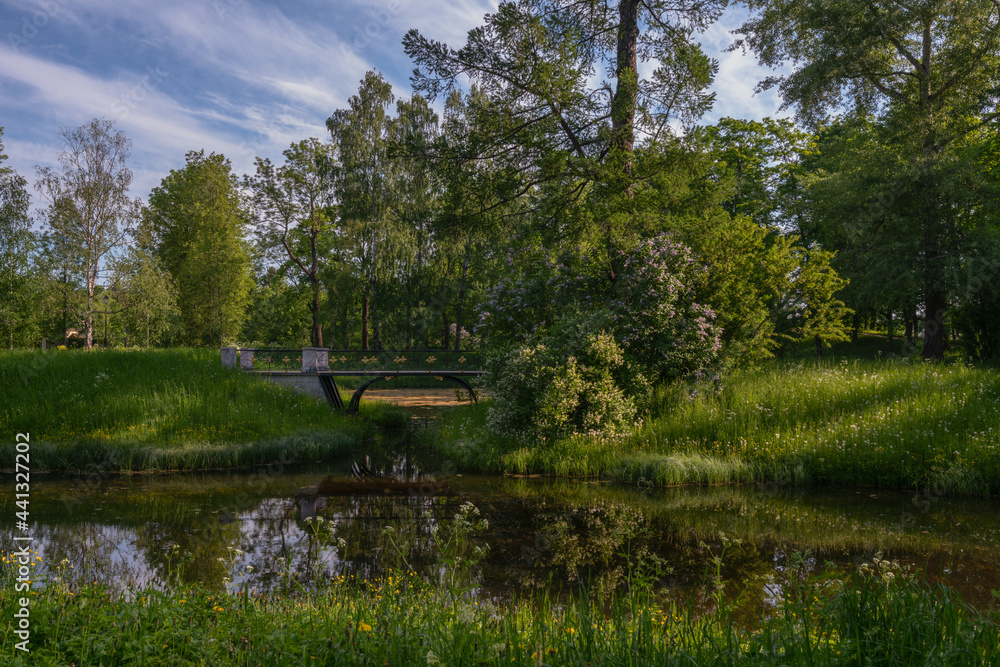 View of the bridge over the Upper Ponds on a creaking gazebo in the bushes of blooming lilac in Catherine Park in Tsarskoye Selo on a sunny summer evening. Pushkin, St. Petersburg. Russia. View of the bridge over the Upper Ponds on a creaking gazebo in the bushes of blooming lilac in Catherine Park in Tsarskoye Selo on a sunny summer evening. Pushkin, St. Petersburg. Russia.