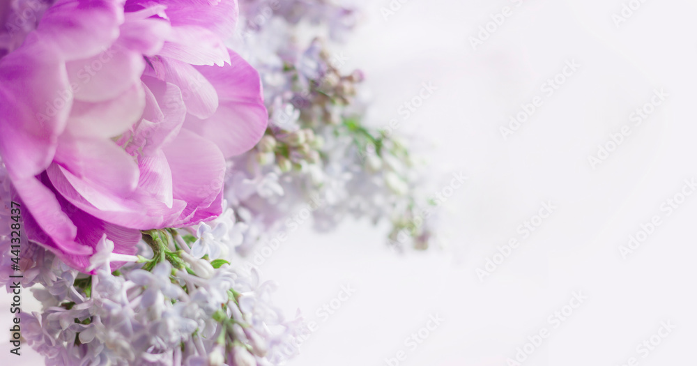 Delicate, pastel bouquet of lilac and purple tudpan on a white background. banner, copy space.Invitation. Spring, love, mother's day soncept. High quality photo