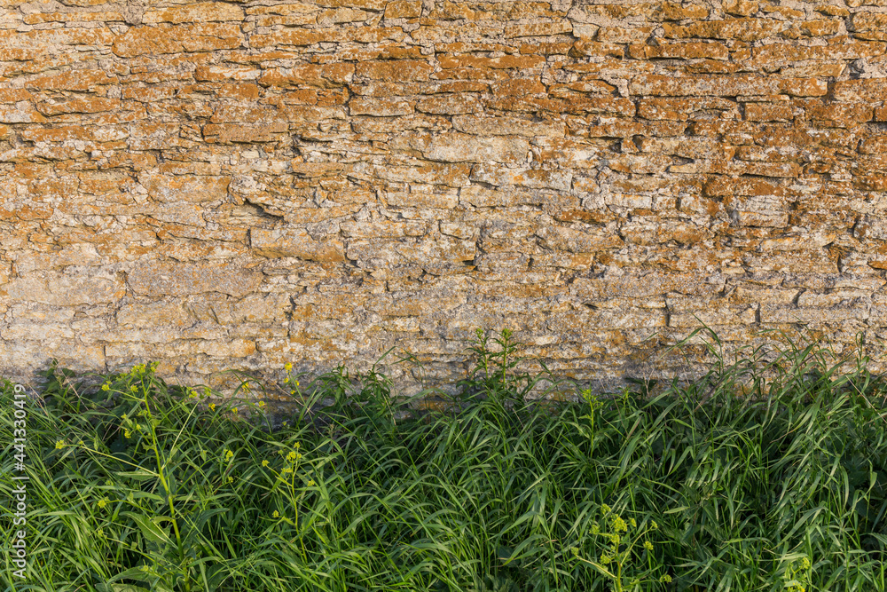 Naklejka premium stone wall with grass