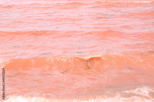 Fototapeta Naklejka Na Ścianę i Meble -  波立つ赤く濁った海 rippling red muddy sea 2