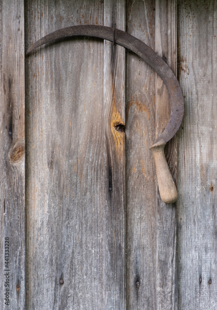An old sickle hangs on a gray textured wall. An old sickle hangs on a gray textured wall.