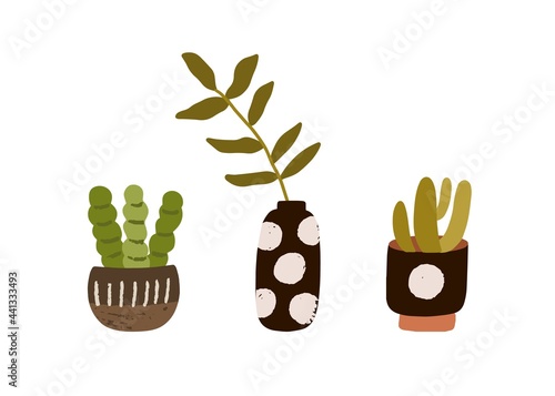 House plants in ceramic pots and vase for home decoration. Foliage and succul...