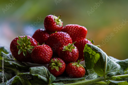Fresh red organic strawberries with mint leaves. Selective focus on organic strawberries. Mint and strawberry tea concept.
