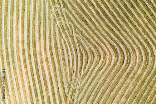 Aerial view of harvesting patterns in an empty paddock photo