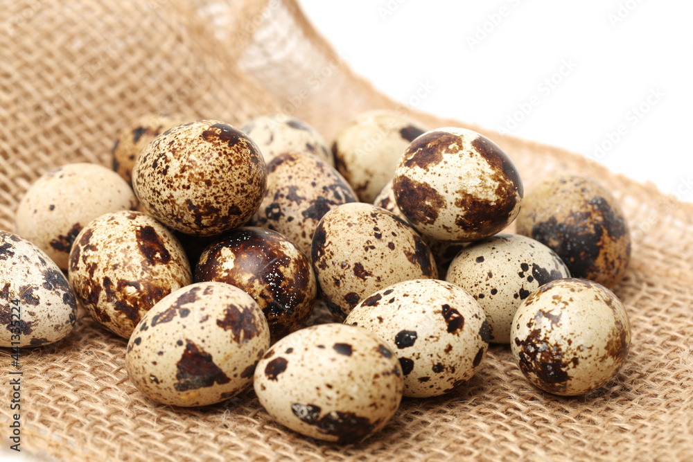 quail eggs on white background quail eggs on white background
