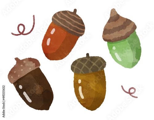どんぐりの水彩イラスト