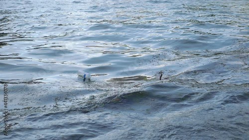 Wallpaper Mural PLastic bottle in the standing water in slow motion 180fps Torontodigital.ca
