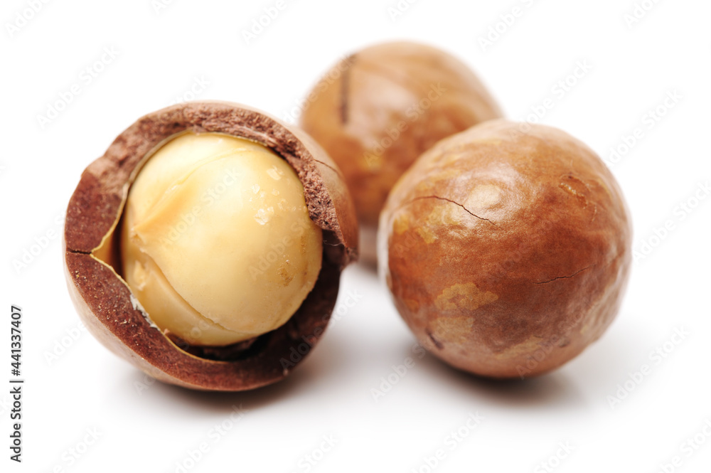 Shelled and unshelled macadamia nuts on white background Shelled and unshelled macadamia nuts on white background