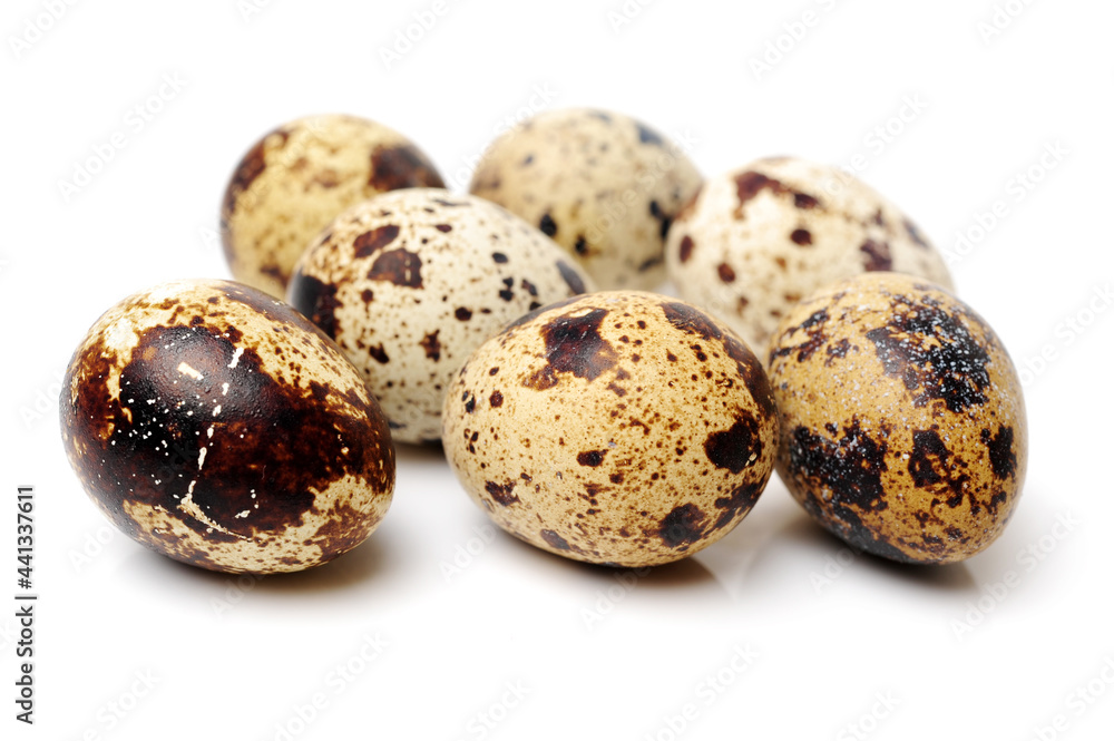 quail eggs on white background quail eggs on white background