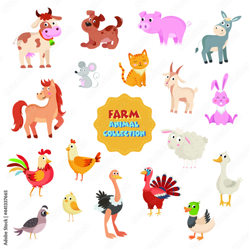 Naklejka premium Farm animal collection set on white background vector illustration