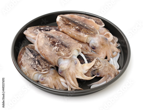 Tableau sur toile Raw cuttlefish on white background.