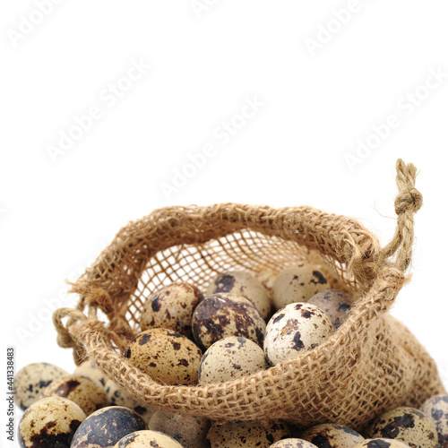 quail eggs on white background 