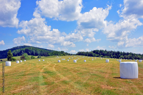 Haylage bales wrapped in white foil will provide food for farm animals. Agricultural landscape in the Low Beskids, Poland