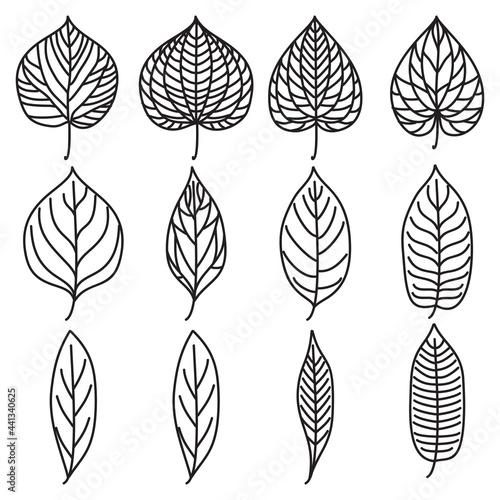 Leaf doodle vector set. doodle leaf icon