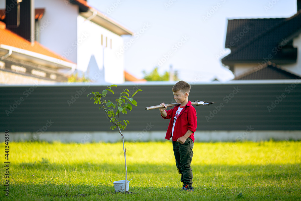 young boy by him self using  shovel  to plant a tree at front of house, kid planting a tree concept with shovel and bucket of water