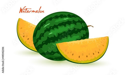 Summer ripe fruit with yellow flesh, product from farm. Vector juicy and water green fruit, light and healthy eating, seasonal product, food design isolated on white background