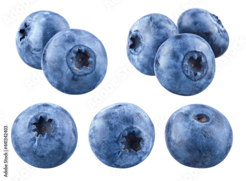 Blueberry isolated. One, two, three blueberries on white. Bluberry set.