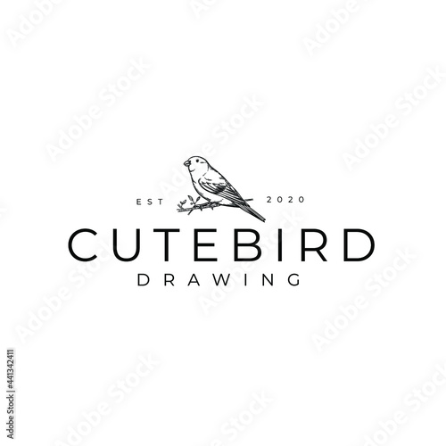 Bird Drawing Logo Vector Illustration Template Icon Design