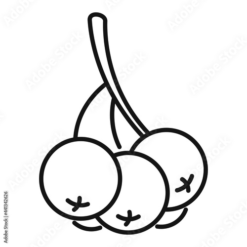 Rowan icon, outline style
