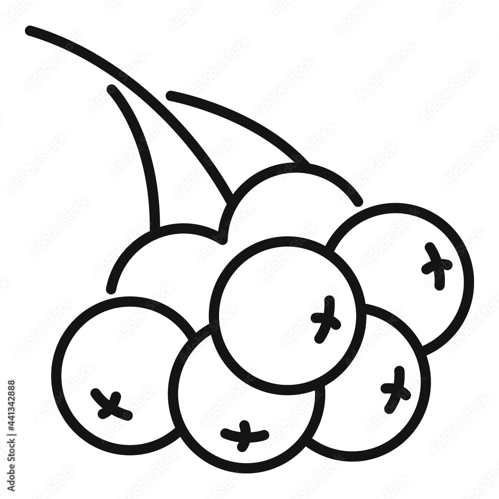 Rowan branch berries icon, outline style Rowan branch berries icon, outline style