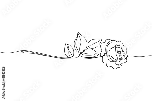 Continuous one line of flower rose in silhouette on a white background. Linear stylized.Minimalist.