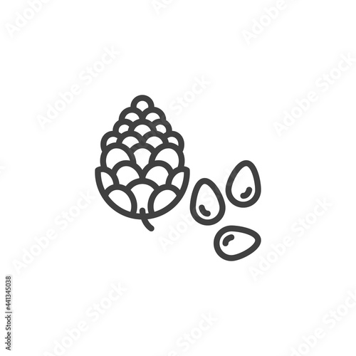 Pine nut seed line icon