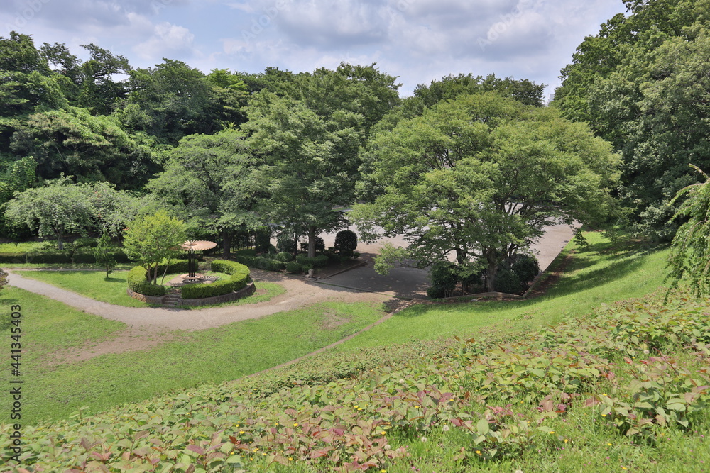 Naklejka premium rice field in island