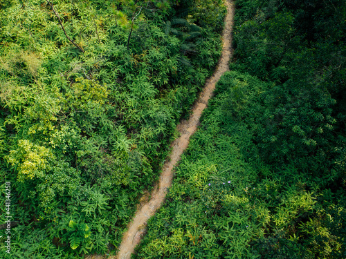 Canvas Print Aerial view of beautiful tropical forest trail