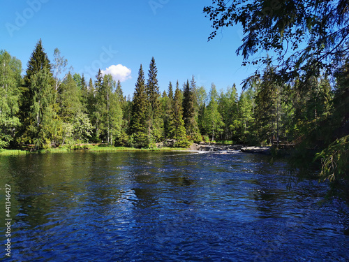 A picturesque waterfall on the Tokhmayoki River in Karelia surrounded by trees on a clear summer morning.