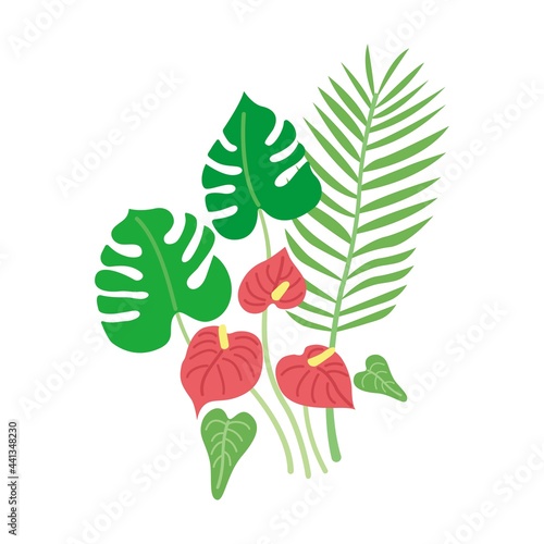 夏の観葉植物モンステラ　アンスリウム
