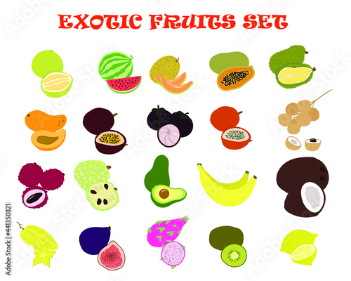 Big set of vector exotic fruits isolated. Summer fruits on white background
