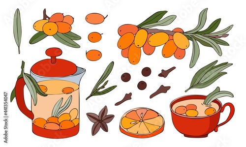 Hand drawn colorful branches, berries and leaves of sea buckthorn. Vector illustration. Image of a teapot, glass, brewed tea with spices.
