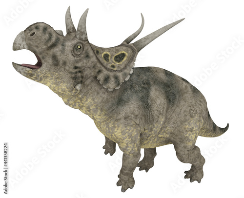 Dinosaurier Diabloceratops, Freisteller © Michael Rosskothen