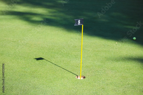 Flag in a golf hole on the background of green grass and golf balls. Golfing, golf club. 