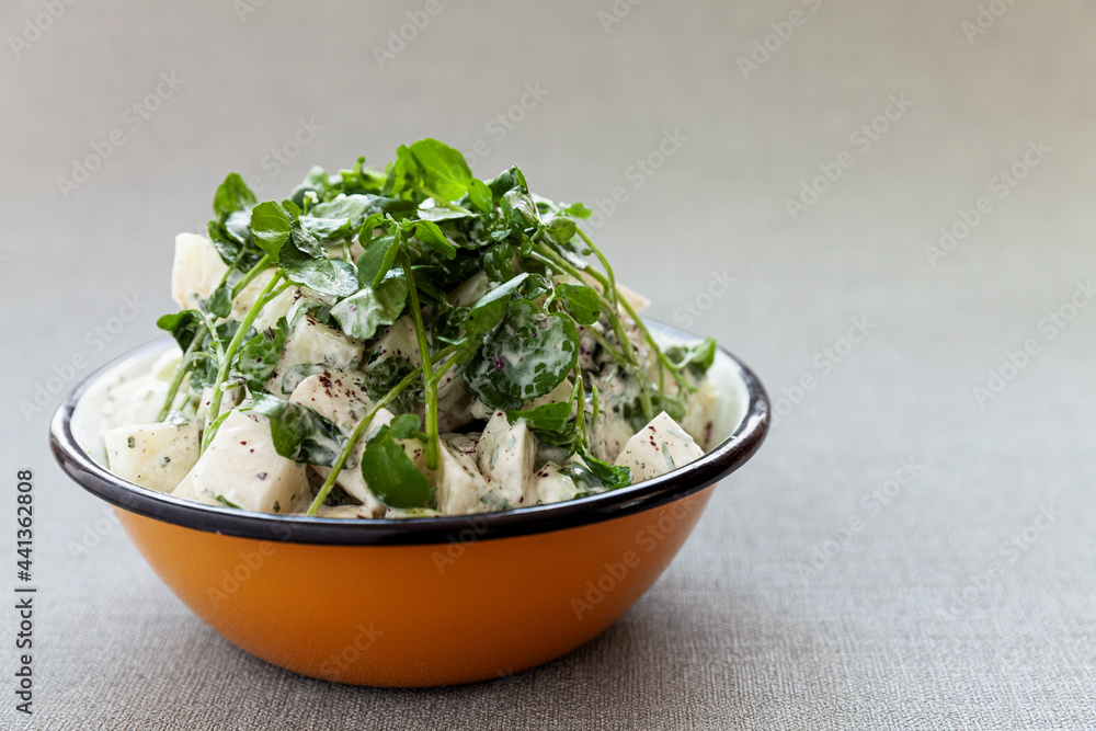 Kohlrabi salad with yoghurt and watercress and sumac spice in bowl. Mediterranean cuisine. Kohlrabi salad with yoghurt and watercress and sumac spice in bowl. Mediterranean cuisine.