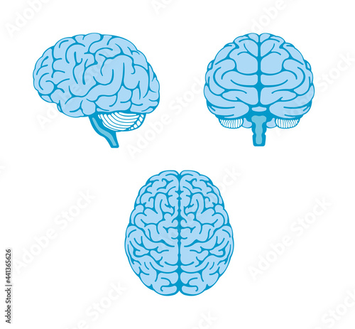 Vector illustration of human brain ( 3 angles set )
