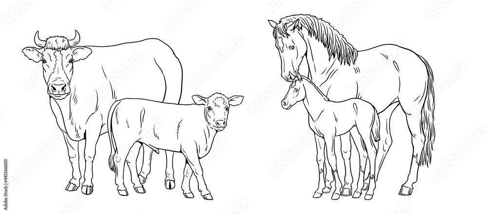 Mare with the foal and cow with the calf. Coloring page with domestic animals. Digital drawing with horse. Template for children to paint.